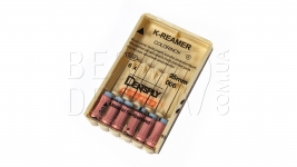 Dentsply Reamers #06